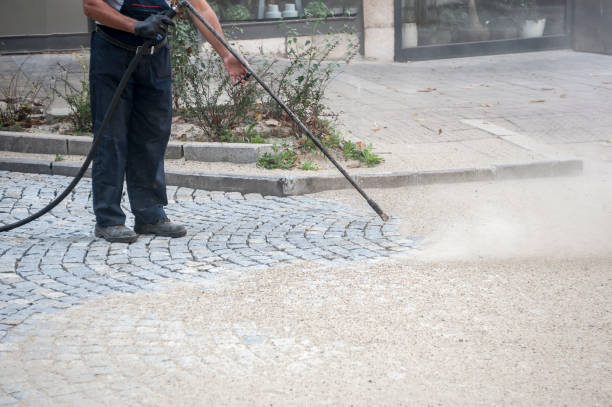 Best Fence Cleaning  in Sunrise, FL